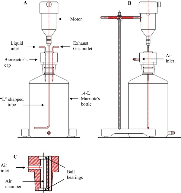Bioreactor design pdf