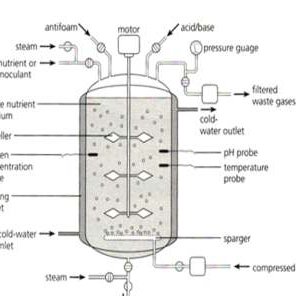 Bioreactor Design Pdf