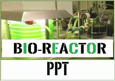 Airlift bioreactor design pdf